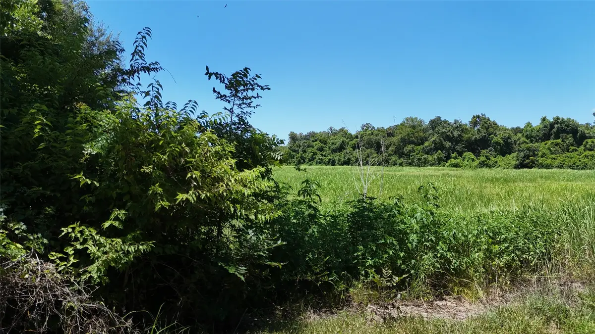 TBD County Road 42, Rosharon, TX 77583 - #1