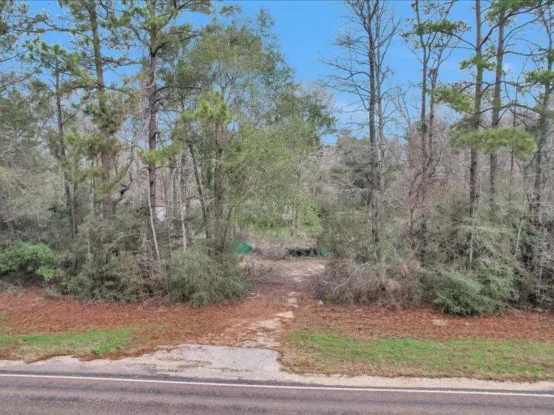 5100 Fm 3081 Road, Willis, TX 77378 - #1