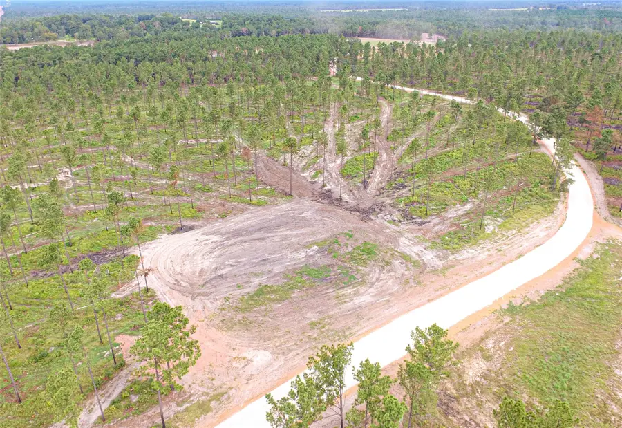 0011 Nelson Dr, Livingston, TX 77351 - #2