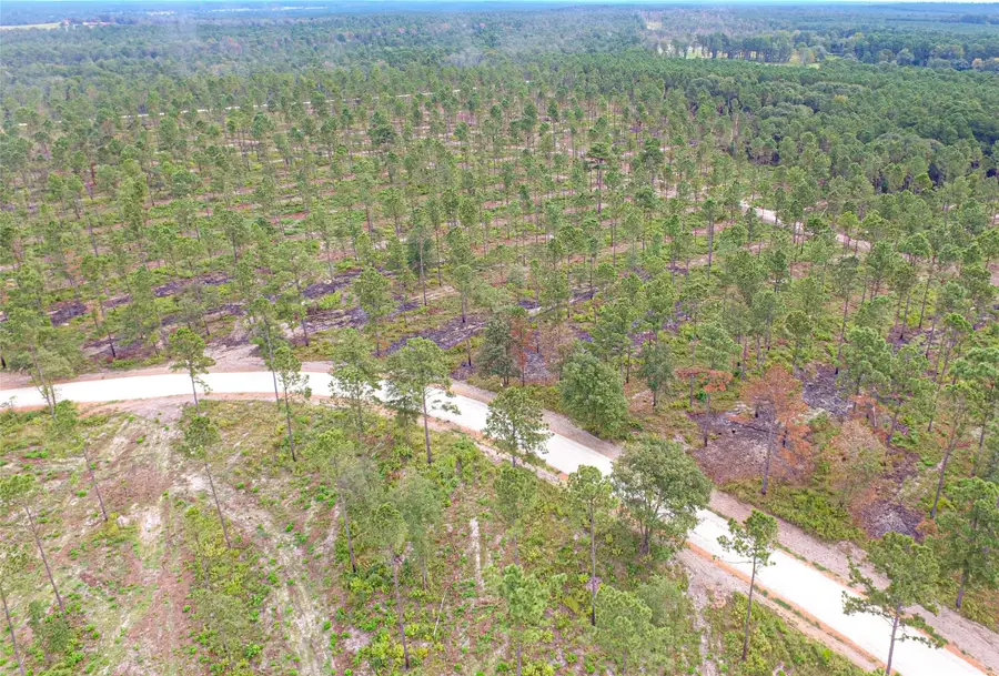 0011 Nelson Dr, Livingston, TX 77351 - #3