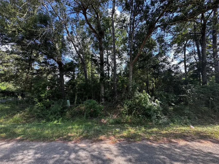 17625 Spanish Oak, Conroe, TX 77306 - Image #3