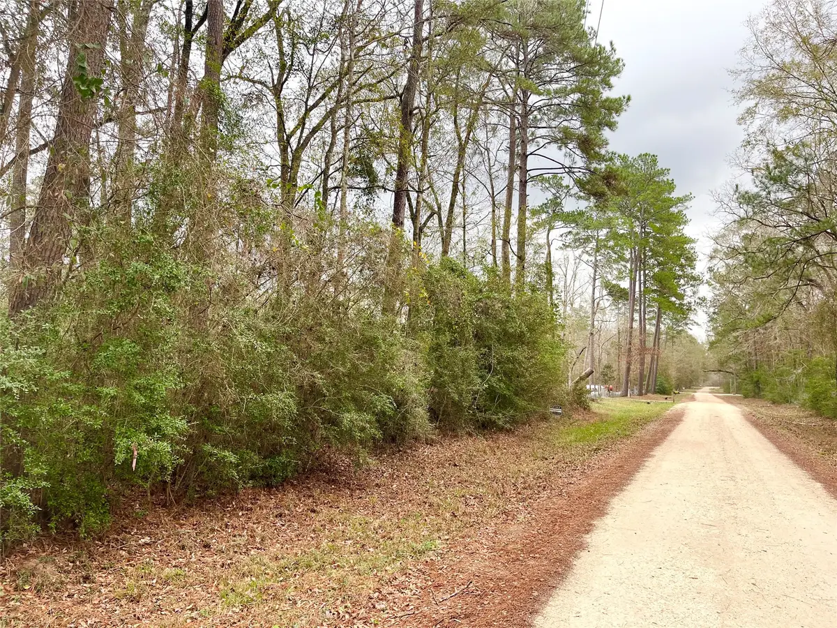 TBD Pine Valley Drive, Shepherd, TX 77371 - #1