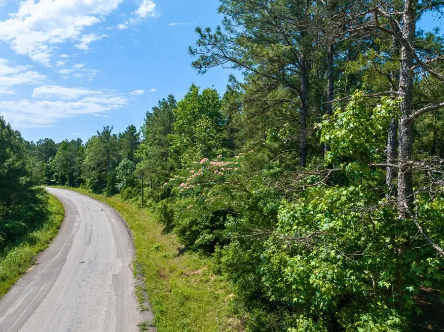 1 Camp Ruby Road, Livingston, TX 77351 - #3