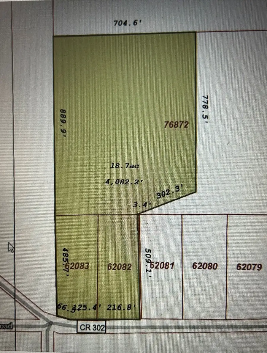 000 County Road 302, Plantersville, TX 77363 - #2