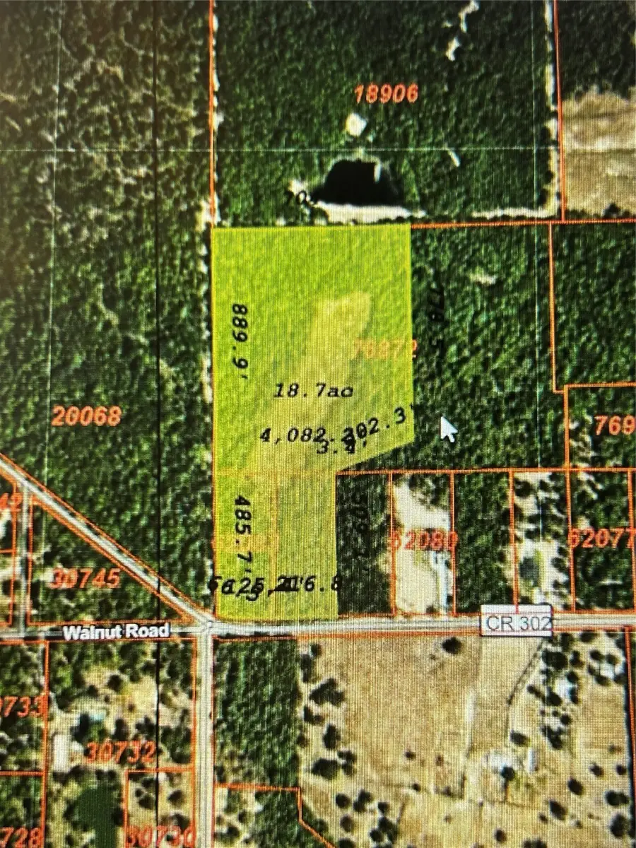 000 County Road 302, Plantersville, TX 77363 - #3