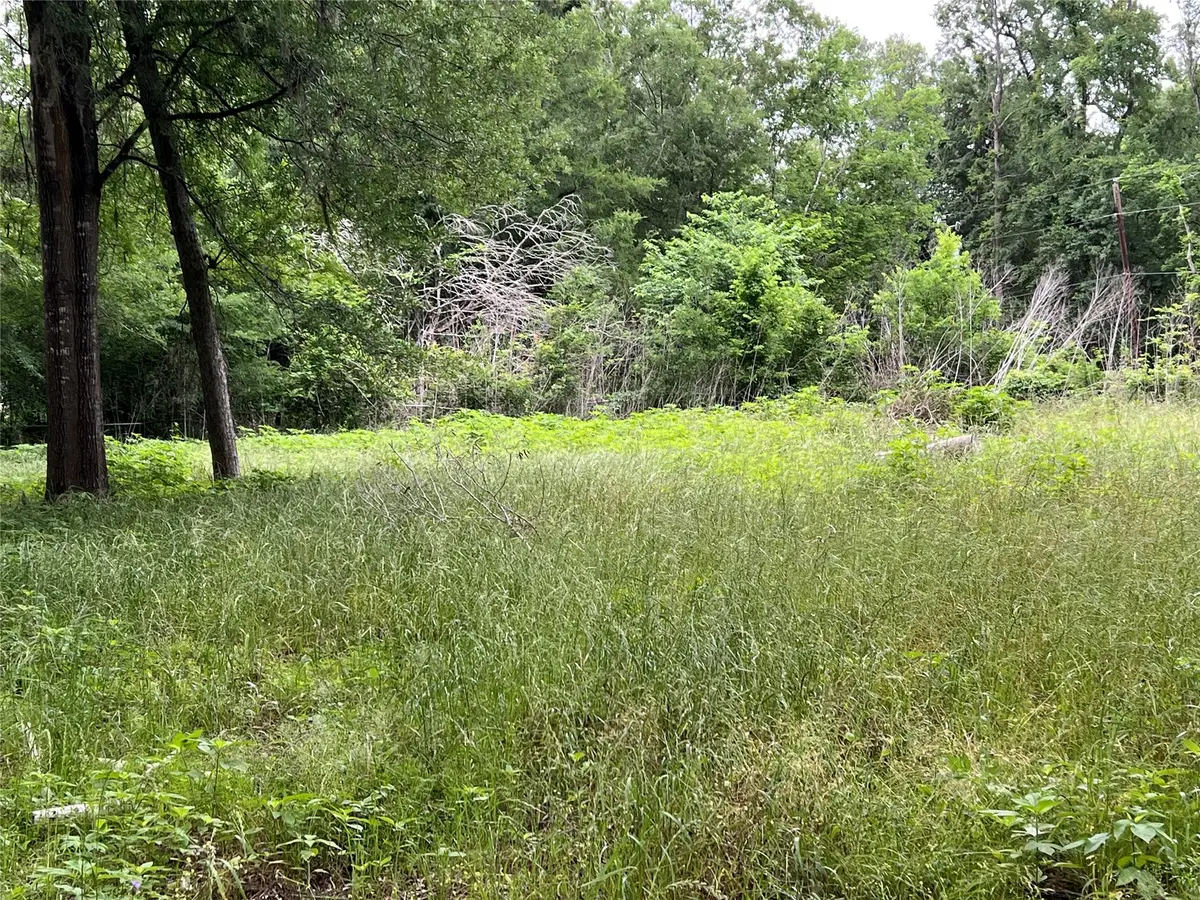 1015 Smith Street, Coldspring, TX 77331 - #1