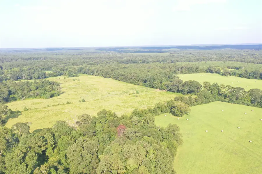 TBD David Hon Rd, Livingston, TX 77351 - #3