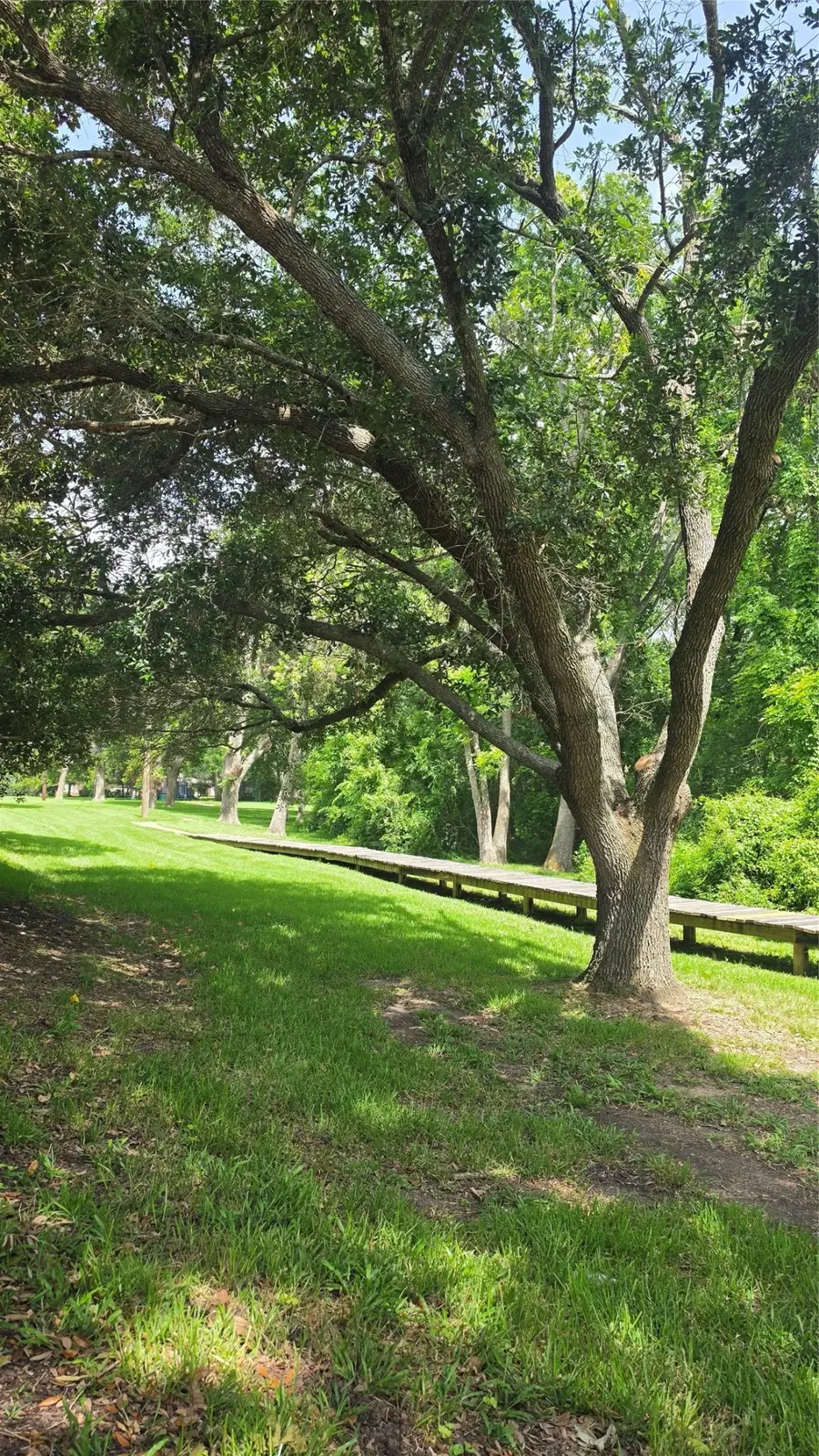 4519 Castlewood Street, Sugar Land, TX 77479 - #2