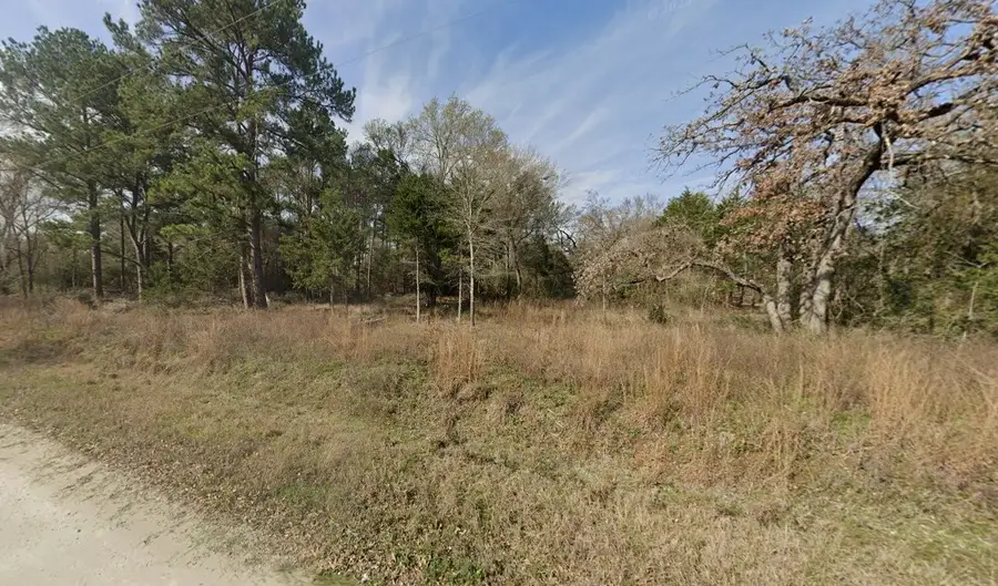 2699 County Road 144, Bedias, TX 77831 - #3