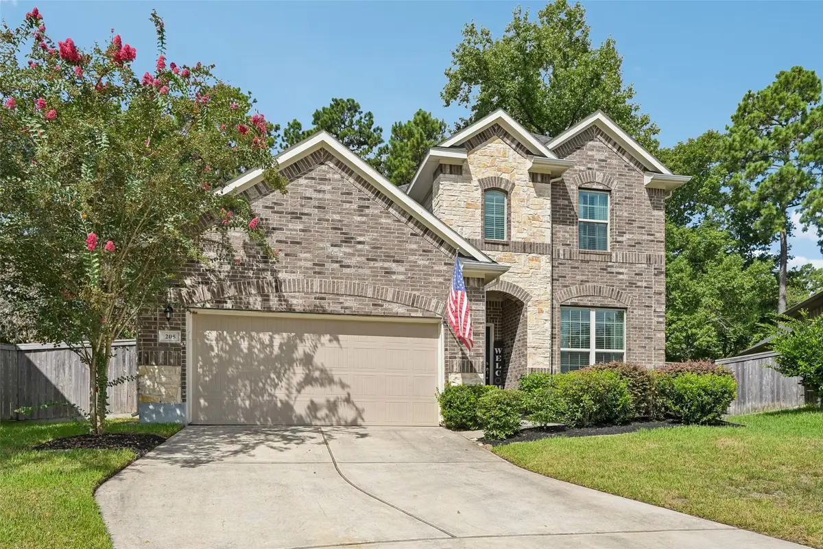205 Elianne Lace Court, Conroe, TX 77318 - #1