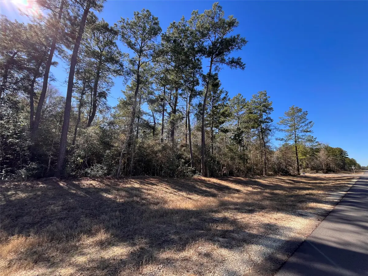 86 Coyote Run, Willis, TX 77378 - #1