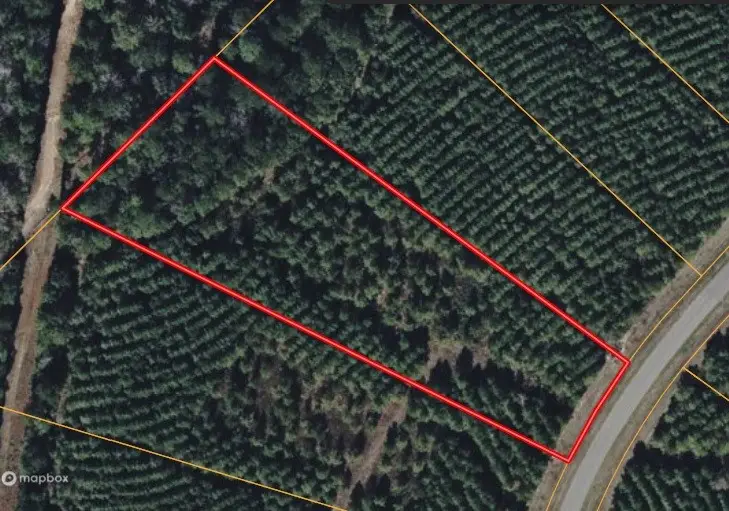 15705 Ridge Rock Road, Willis, TX 77378 - #1