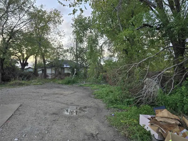 2007 Brackenridge Street, Houston, TX 77026