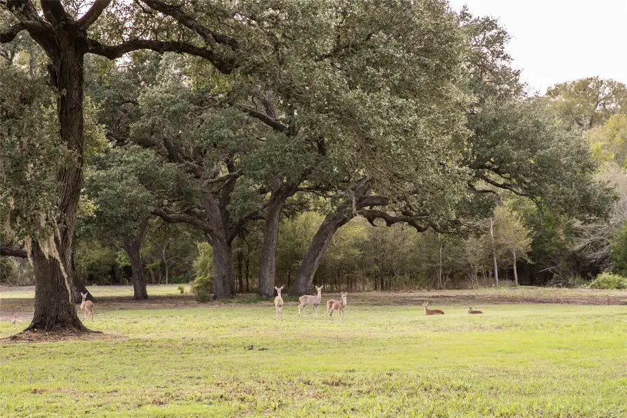 9650 Fm 390 W, Burton, TX 77835 - #2