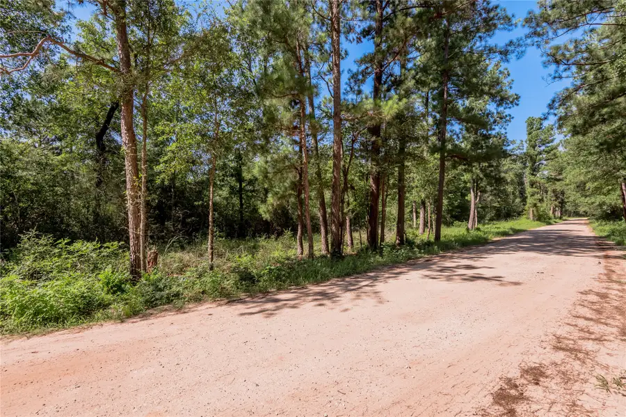 9238 Rocky Ridge Lane, Madisonville, TX 77864 - Image #3