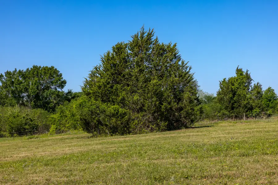 00 Sauney Chapel Road, Chappell Hill, TX 77426 - Image #3