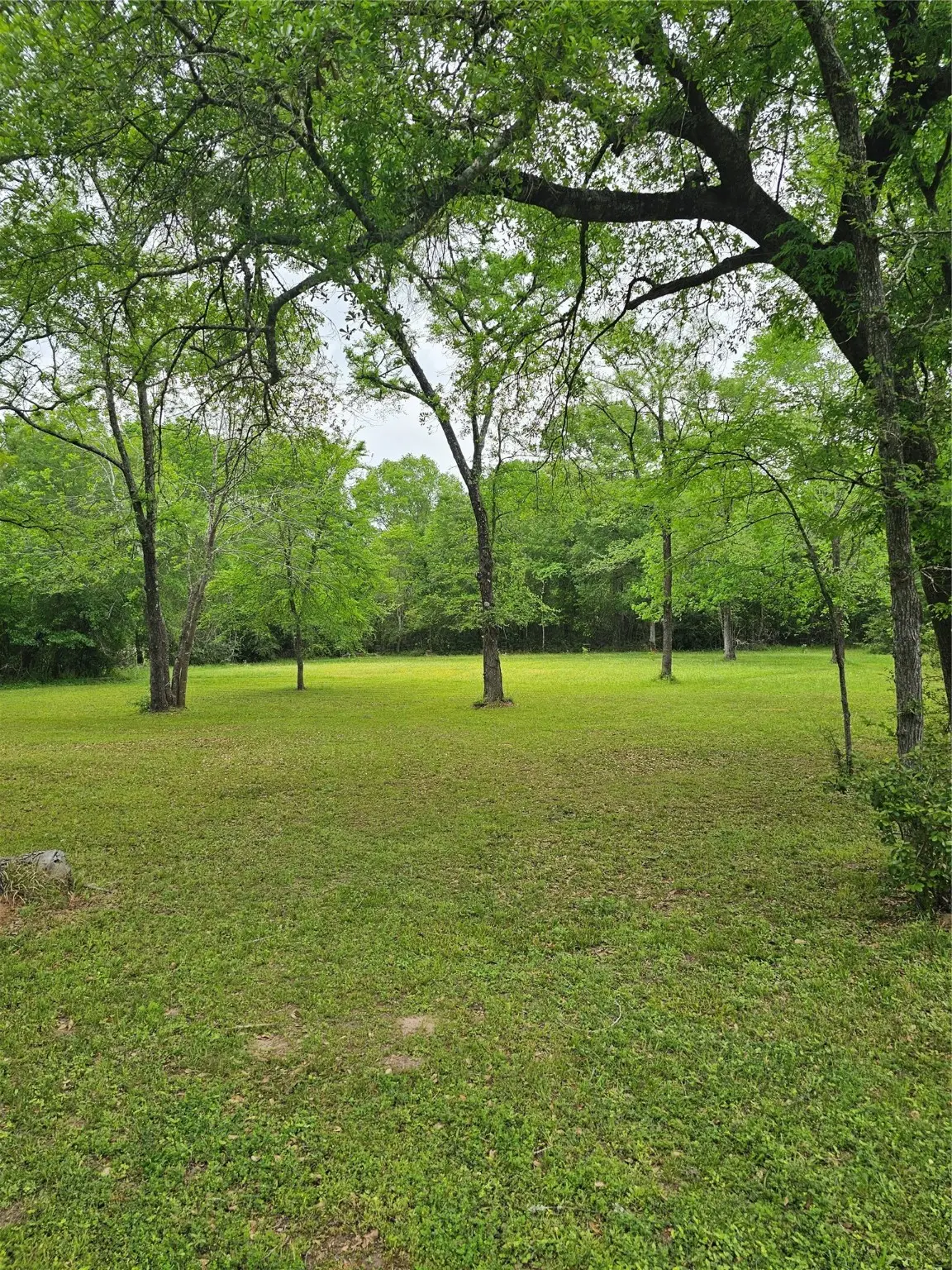 9041 Lakecrest Drive, Montgomery, TX 77356 - #1