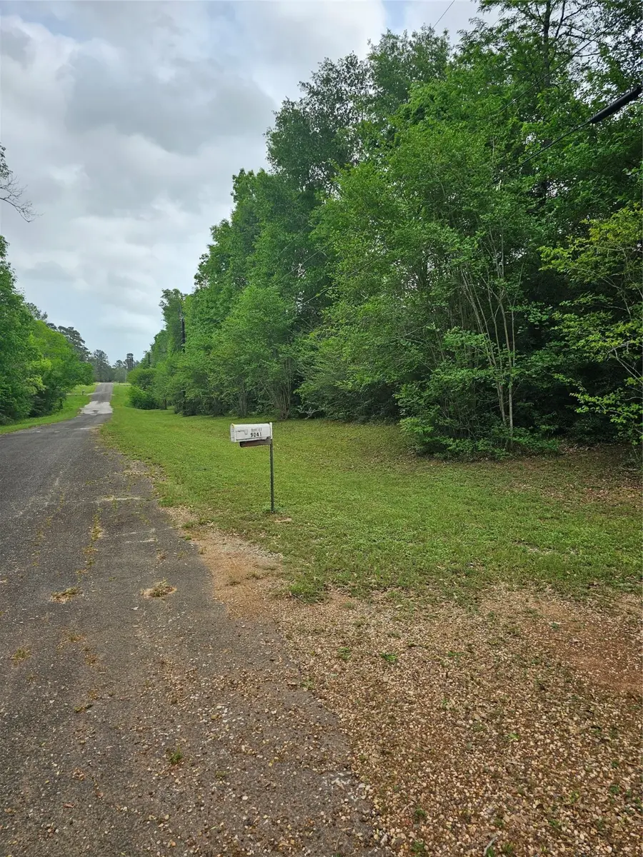 9041 Lakecrest Drive, Montgomery, TX 77356 - #3