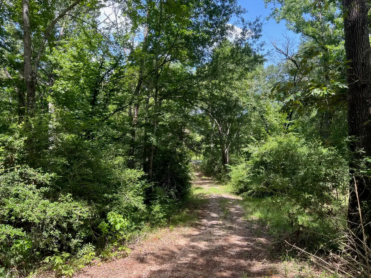 11 ac Pr 2205, Buffalo, TX 75831 - Image #1