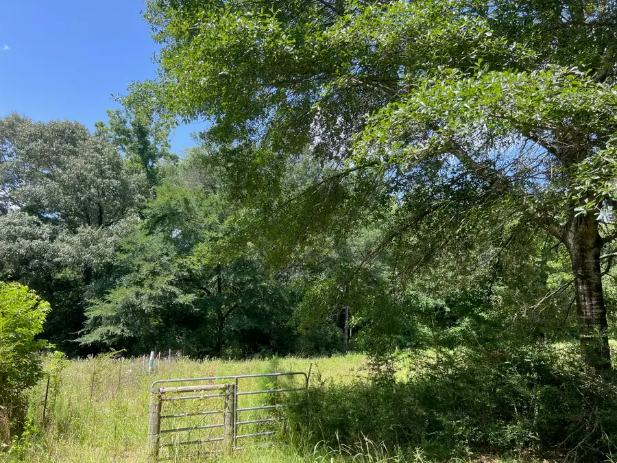 11 ac Pr 2205, Buffalo, TX 75831 - Image #2