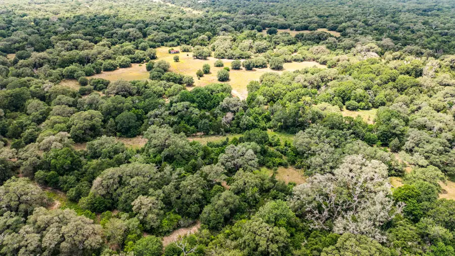 TBD Cr 215, Weimar, TX 78962 - Image #2