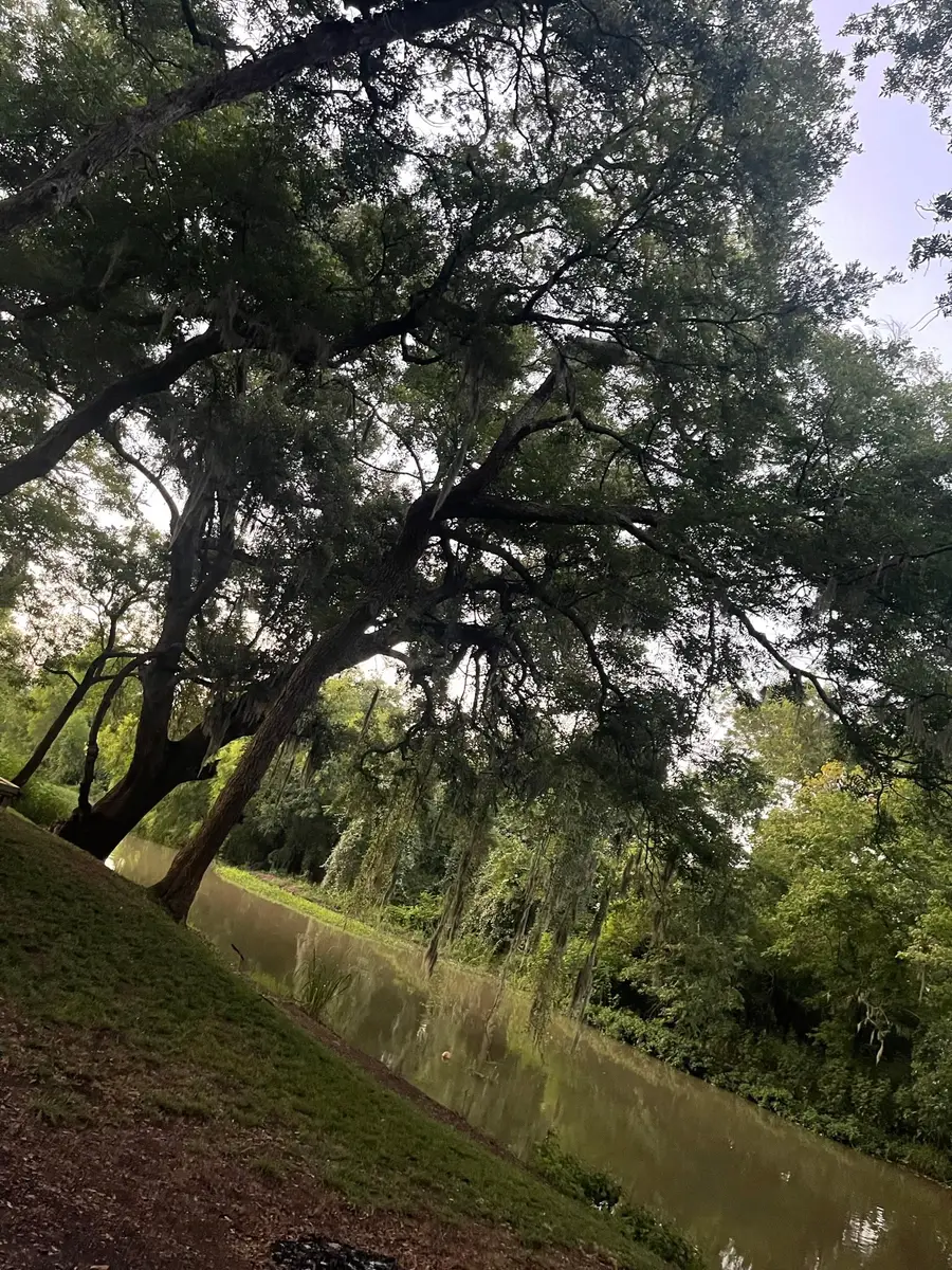 208 River Oaks Drive, Lake Jackson, TX 77566 - #3