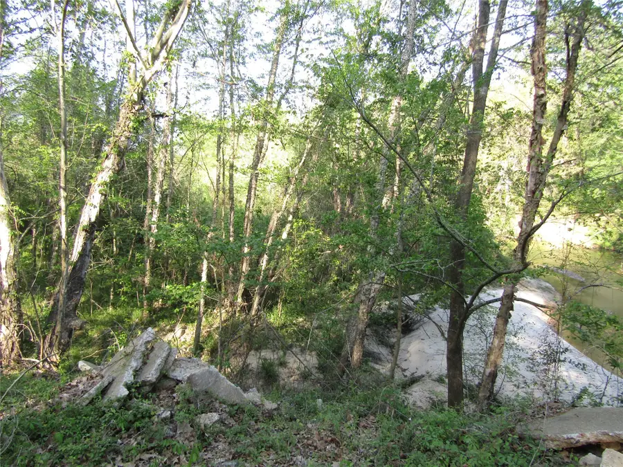 TBD Magnolia Lane, New Caney, TX 77357 - Image #2