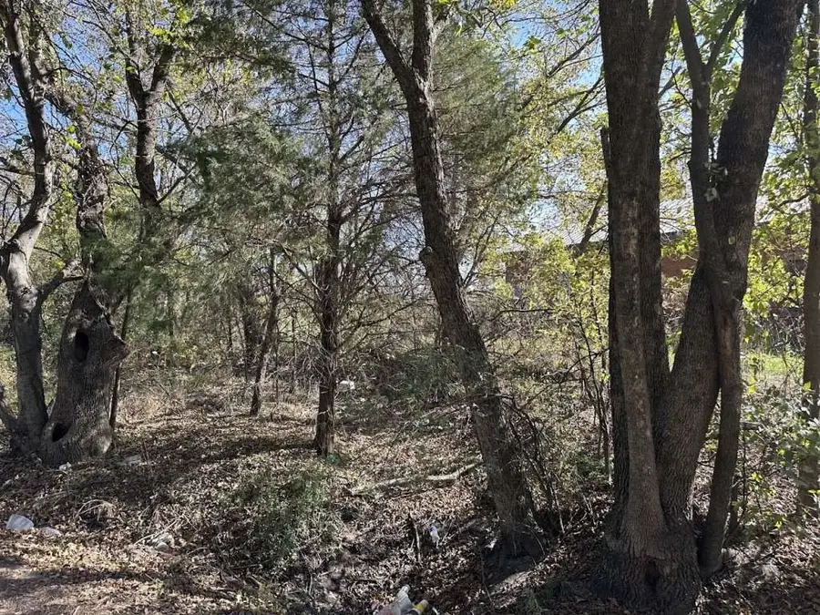 816 Pine Street, Commerce, TX 75428 - Image #3