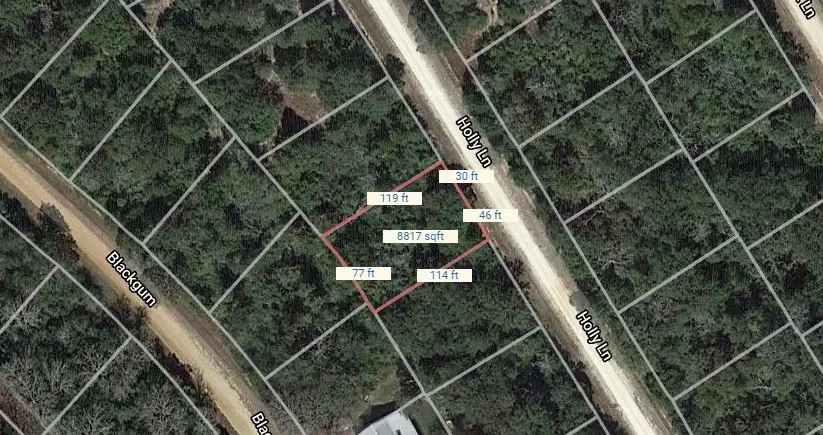 Lot 19 Holly Lane, Normangee, TX 77871 - Image #2