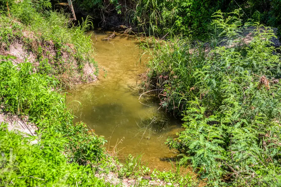 TBD Fm 2621 Lane, Brenham, TX 77833 - Image #3