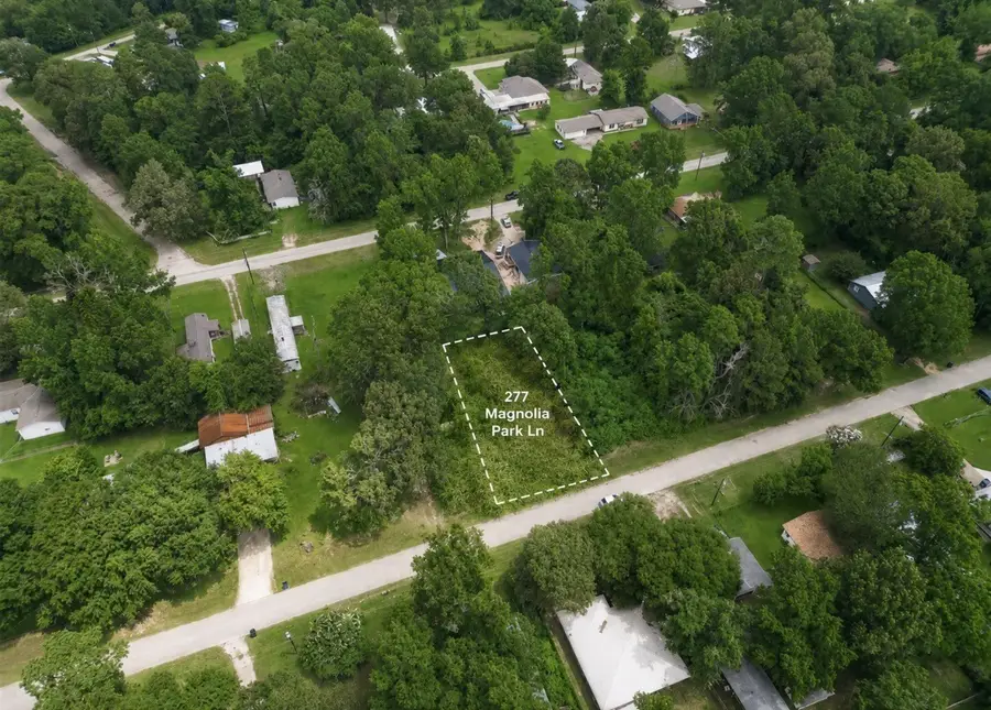 277 Magnolia Park, Onalaska, TX 77360 - #3