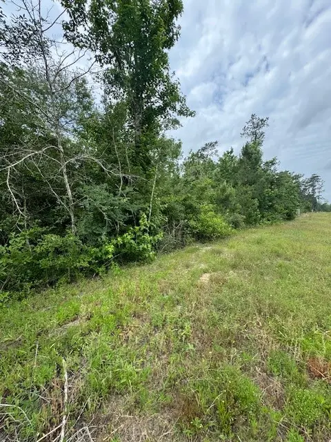 340 Iron Horse Road, Willis, TX 77378 - Image #2