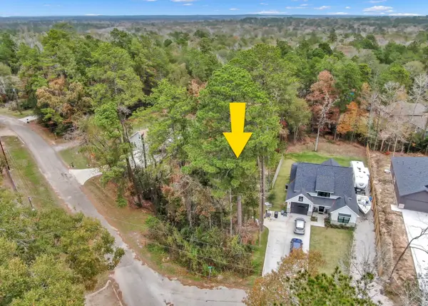 15026 Indian Hill Trail, Willis, TX 77378