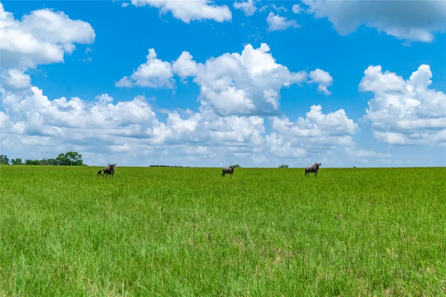 3860 Fm 2259, Nacogdoches, TX 75961 - Image #3