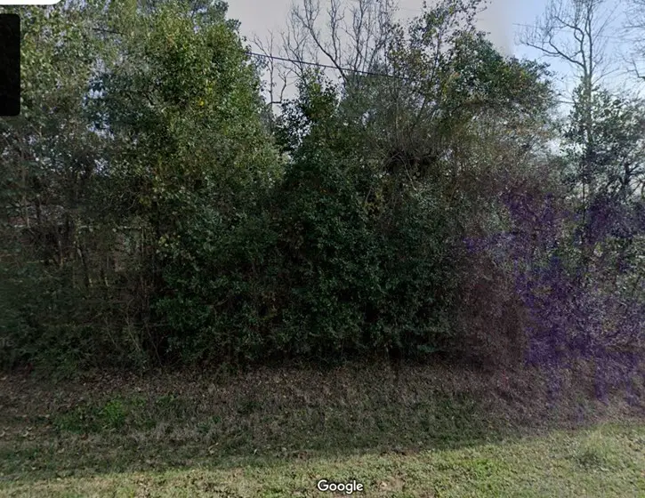 0 Carrell Street, Tomball, TX 77375 - Image #3