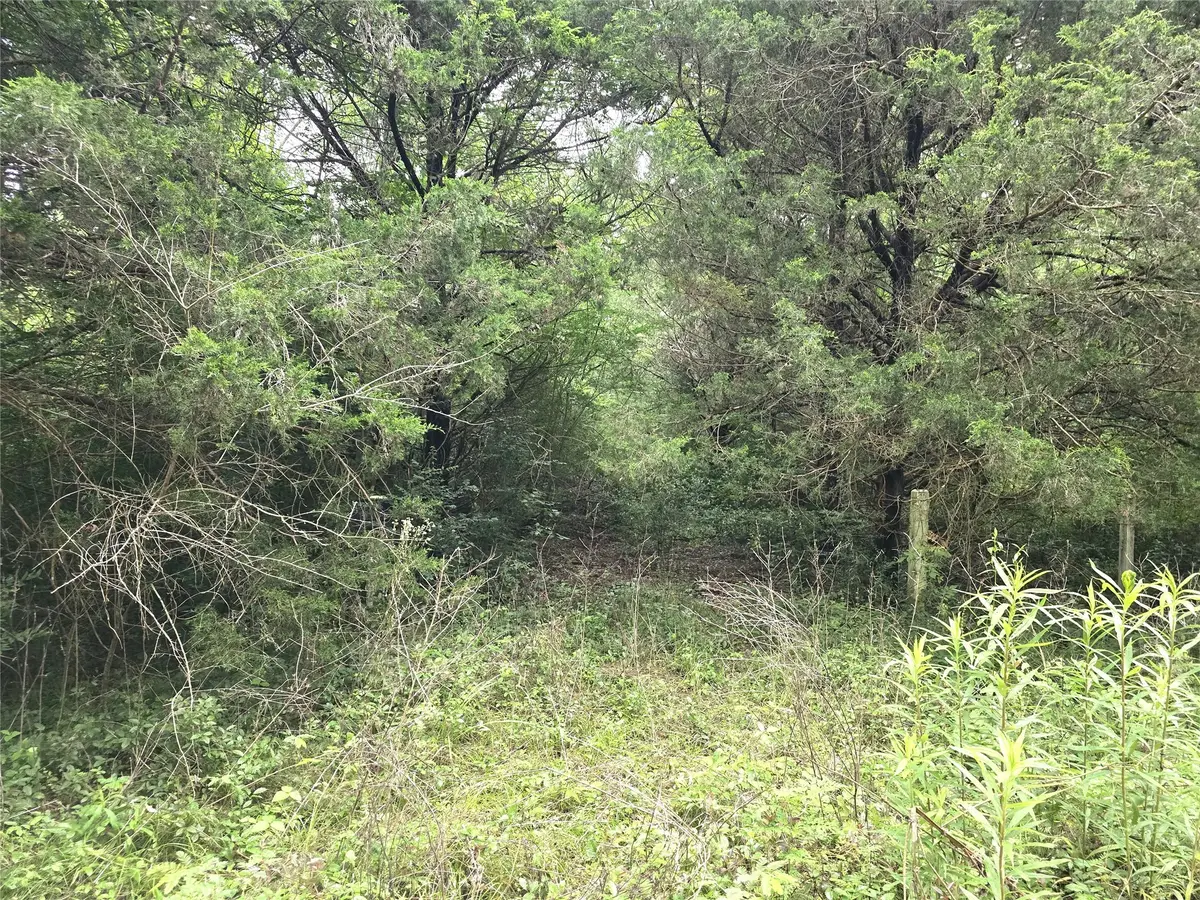 1069 Conestoga Trail, Livingston, TX 77351 - Image #1