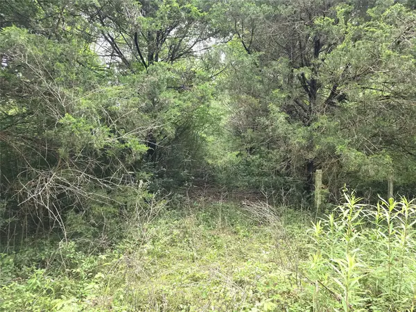 1069 Conestoga Trail, Livingston, TX 77351