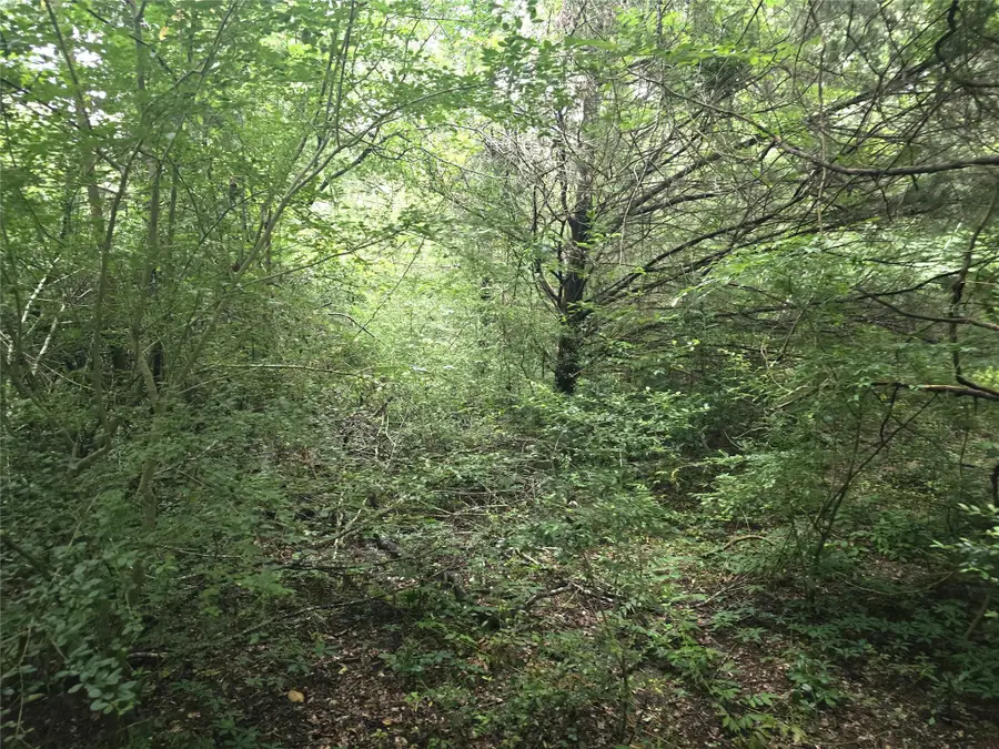 1069 Conestoga Trail, Livingston, TX 77351 - Image #2