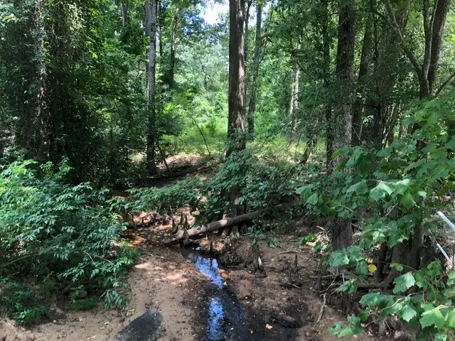 25094 Fm 1488 Road, Magnolia, TX 77355 - #1