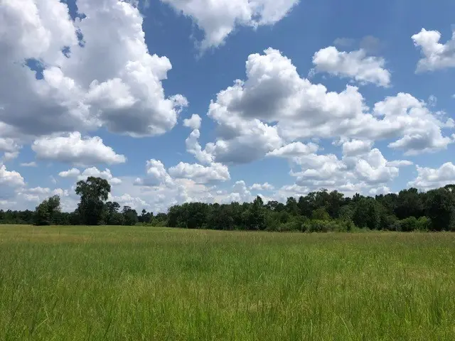 25094 Fm 1488 Road, Magnolia, TX 77355 - #3