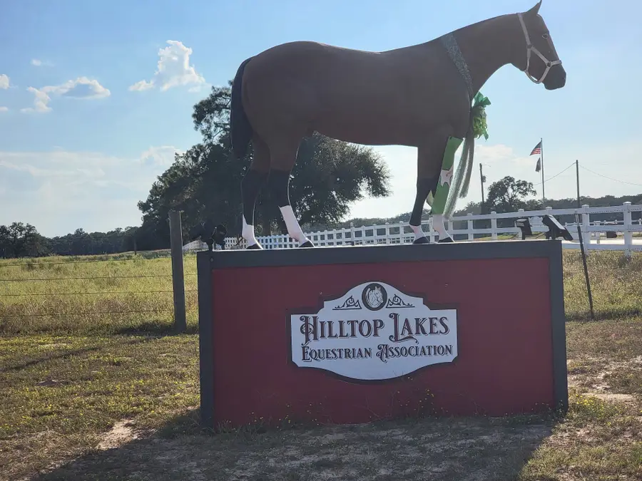 31 Ranch Road Drive, Normangee, TX 77871 - Image #3