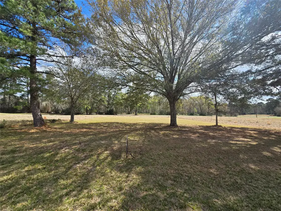 TBD New Orleans Avenue, Trinity, TX 75862 - #3