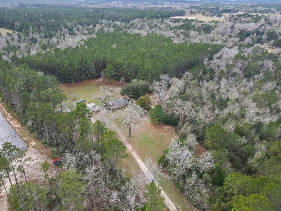 642 County Road 4335, Woodville, TX 75979 - Image #2