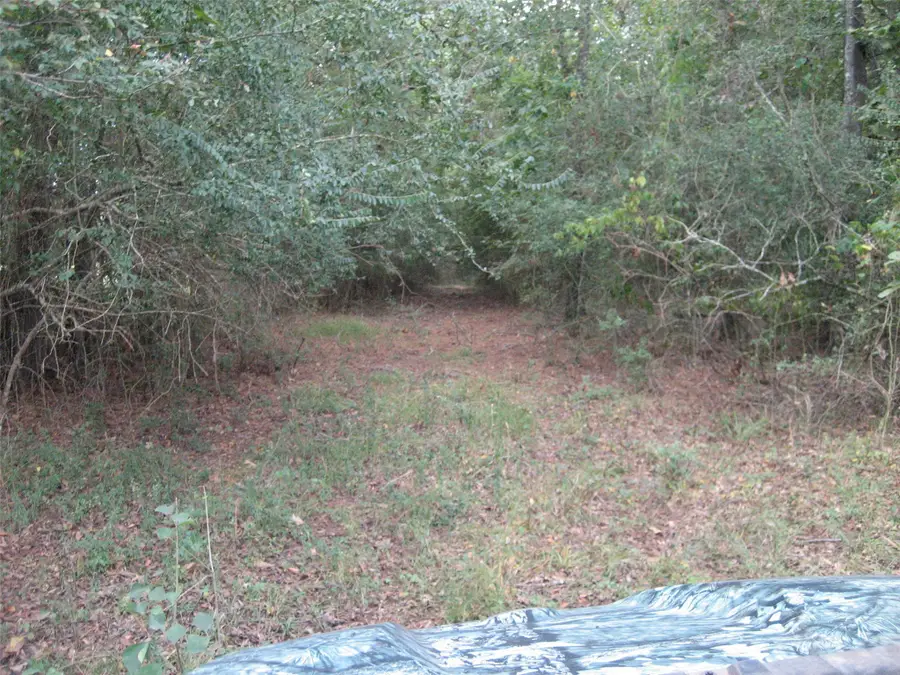 00 State Hwy 21 East, Crockett, TX 75835 - Image #3