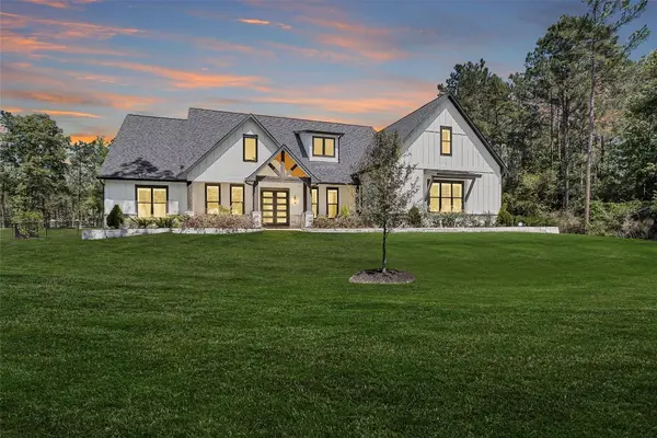 11601 Kirstens Ct Drive, Montgomery, TX 77316