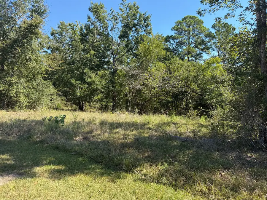 TBD Shadowood 2 Lane, Coldspring, TX 77331 - #3