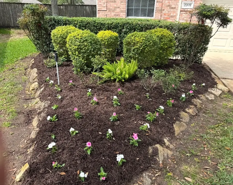 2202 Capri Court, Pearland, TX 77581 - #3