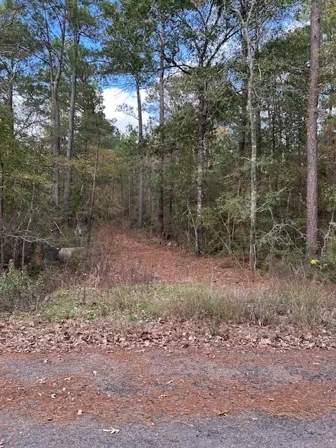 4807 Cathey Lane, Navasota, TX 77868 - #1