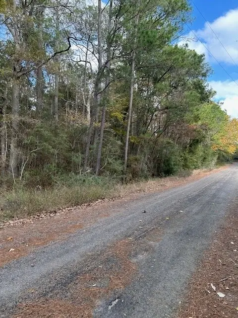 4807 Cathey Lane, Navasota, TX 77868 - #3