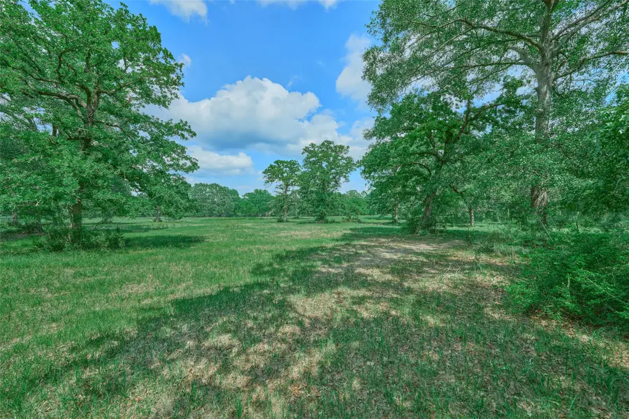 27610 S Log Cabin Road, Montgomery, TX 77356 - #2